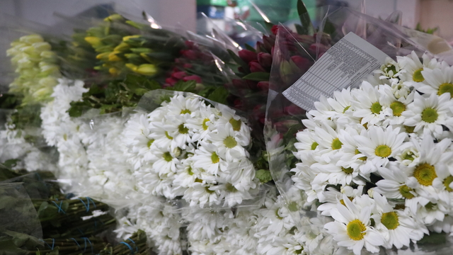 Yalova'da çiçek mezatında Sevgililer Günü yoğunluğu