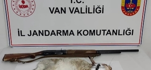 Van'da tavşan avlayan şahsa 29 bin TL ceza