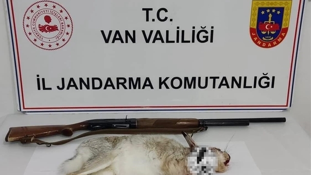 Van'da tavşan avlayan şahsa 29 bin TL ceza