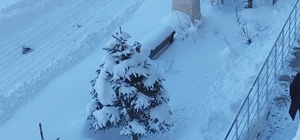 Erciş'te kar yağışı