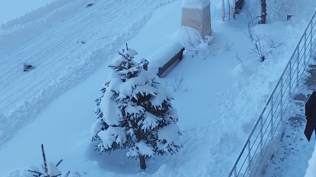 Erciş'te kar yağışı