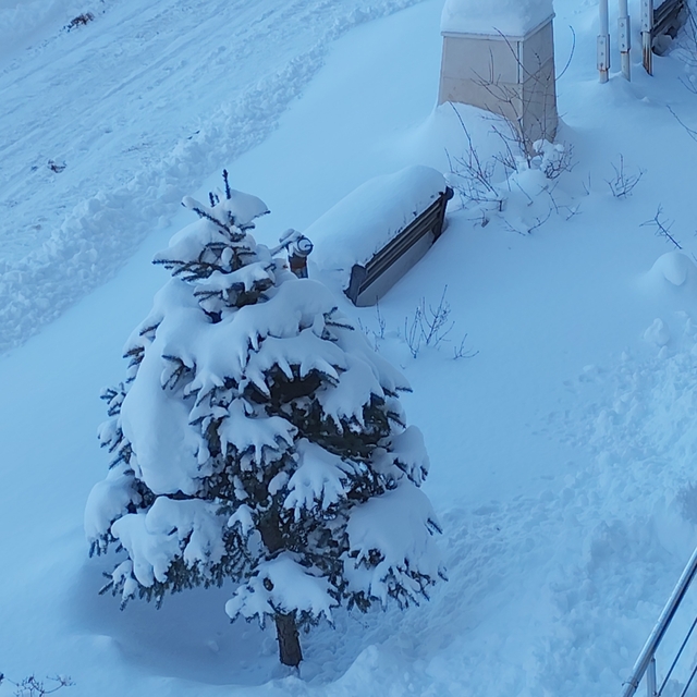 Erciş'te kar yağışı