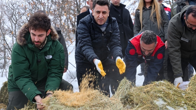 Vali Aygöl, yaban hayvanları için sahada