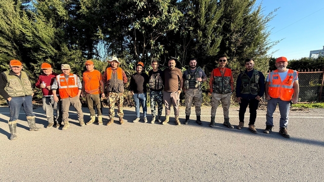 Serik'te tarım arazilerini domuzlardan korumak için sürek avları devam ediyor