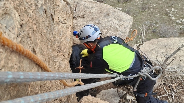 Siirt'te üç gündür mahsur kalan keçi dağcılar tarafından kurtarıldı