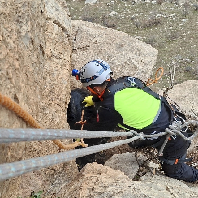 Siirt'te üç gündür mahsur kalan keçi dağcılar tarafından kurtarıldı