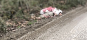 TIR'la getirilip, köye bırakılan düzensiz göçmenler yakalandı; 1 göçmen hip...