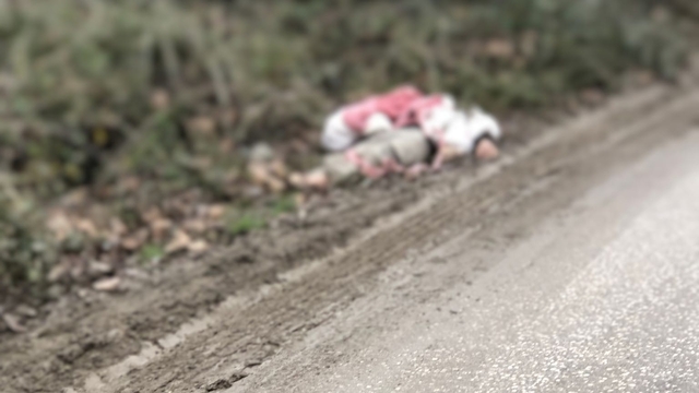 TIR'la getirilip, köye bırakılan düzensiz göçmenler yakalandı; 1 göçmen hipotermiden öldü