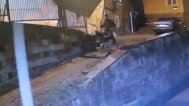 Forklifle gelmiş, eşekle kaçmış
Çaldığı altınları toprağa gömen forklifli hırsız yakalandı