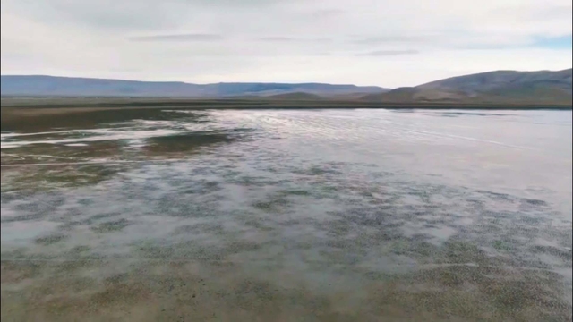 Kuruyan Çavuşçu Gölü, yeniden su tutmaya başladı