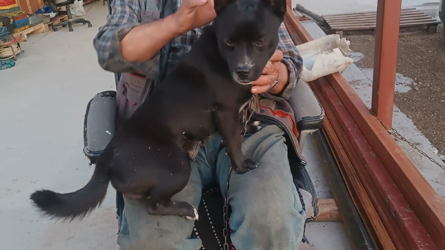 Su dolan alt geçitte ölen kamyonet sürücüsünün kardeşi: Umarım son olur