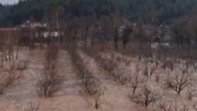 Çilek bahçesi selle birlikte su altında kaldı