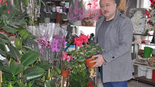 Amasya'da çiçekçiler 14 Şubat Sevgililer Günü'ne hazır