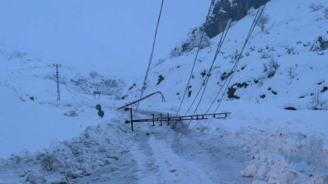 Kar yağışı nedeniyle devrilen 300 elektrik direği yenilendi