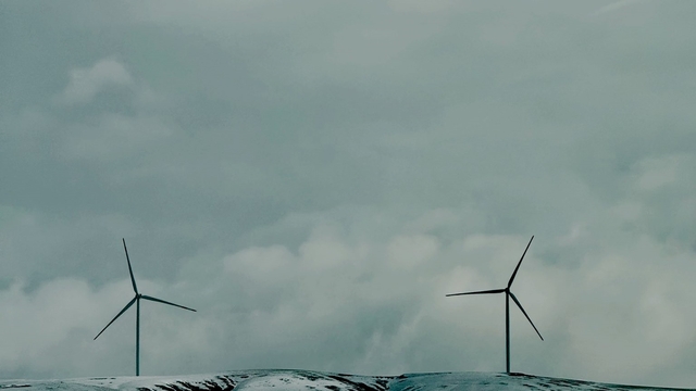 Ağrı'da etkili olan kar yağışı kenti beyaza boyadı