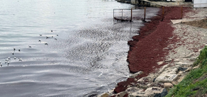 Tekirdağ'da deniz kıyıları kırmızı renge büründü