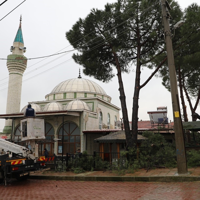 Şehzadeler Belediyesi'nin budadığı dallar ihtiyaç sahiplerinin ocağını ısıt...