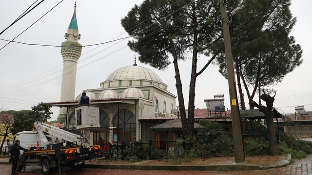 Şehzadeler Belediyesi'nin budadığı dallar ihtiyaç sahiplerinin ocağını ısıtıyor