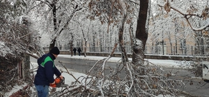 Kayseri Büyükşehir'den kış çalışmalarında ağaç güvenliği seferberliği