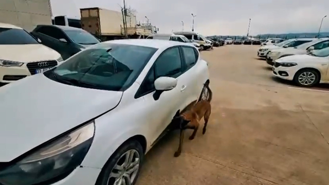 Yalova'da uyuşturucu operasyonu: 2 tutuklama