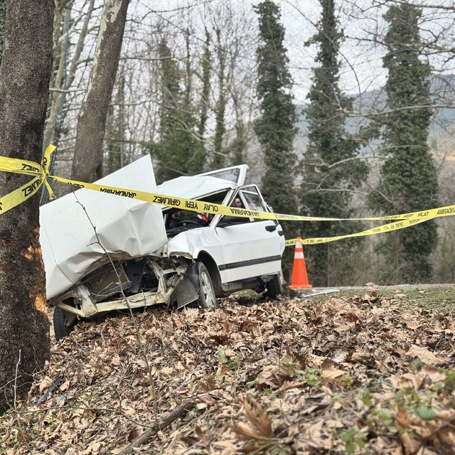 Karabük'te otomobil ağaca çarptı: 1 ölü, 2 yaralı