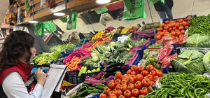 Amasya'da tarım ürünlerine yönelik denetim yapıldı