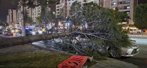 Meteoroloji'den 'kuvvetli rüzgar' ve 'fırtına' uyarısı