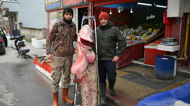 Edirne'deki Meriç Nehri'nde 102 kilogramlık yayın balığı yakalandı