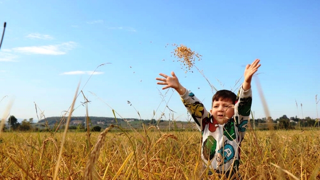 Samsun'da tarımsal üretime 6 milyara yakın destek ödemesi yapıldı
