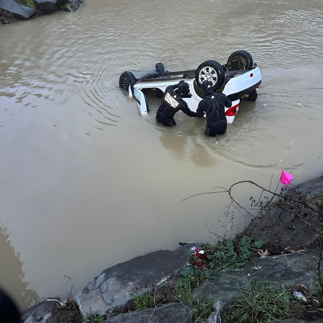Trabzon'da göle devrilen otomobilin sürücüsü yaralandı