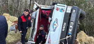 Kastamonu'da saman yüklü kamyonet, şarampole devrildi: 2 yaralı