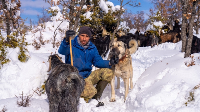 Öldürülen köpeğine otopsi yaptırdı, sorumluların bulunmasını istiyor