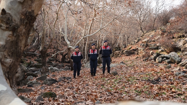 Diyarbakır'ın ekolojik dengesi Çevre ve Doğal Hayatı Koruma Kısmı tarafından korunuyor
