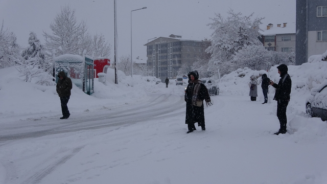 Bitlis ve Van'da 205 yerleşim yerinin yolu kardan kapandı