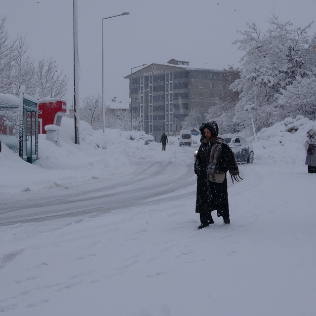 Bitlis ve Van'da 205 yerleşim yerinin yolu kardan kapandı