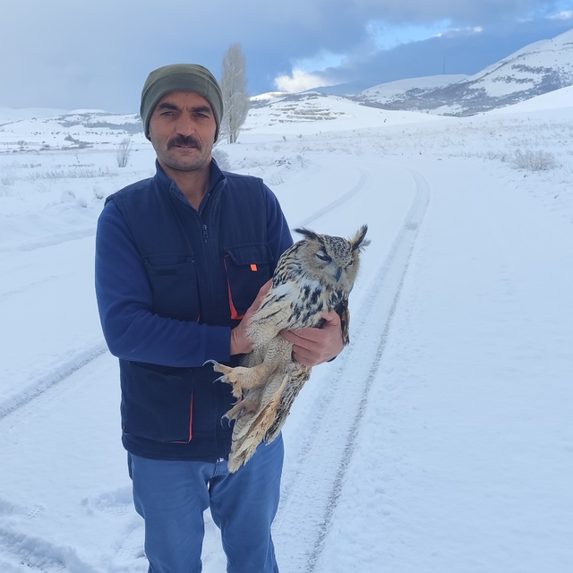 Bayburt'ta duyarlı vatandaşın yaralı halde bulduğu puhu kuduz çıktı