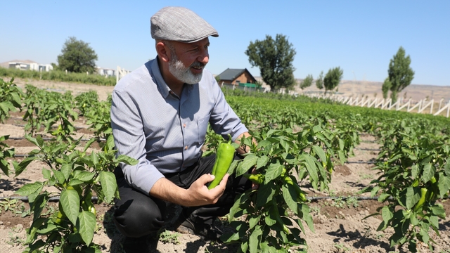Başkan Çolakbayrakdar: "Toprağımıza bereket, çiftçimize yeni kazanç kapısı açıyoruz"