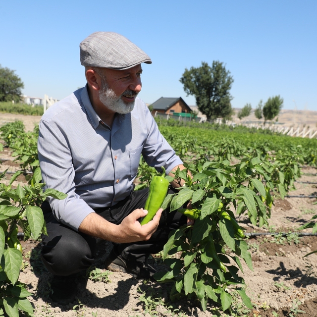 Başkan Çolakbayrakdar: "Toprağımıza bereket, çiftçimize yeni kazanç kapısı...