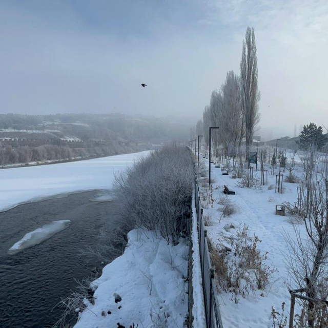 Kar durdu, Ardahan soğuk havaya teslim oldu
