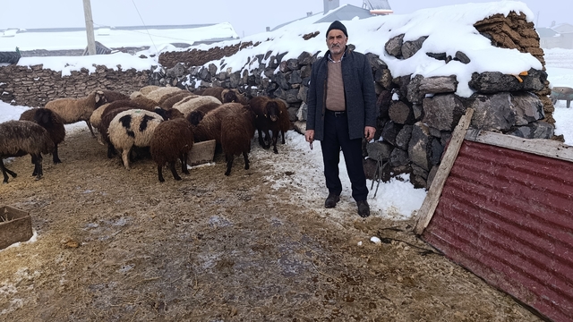 Kars'ta kurt saldırısında 214 koyunu telef olan besicinin yüzü destek kampanyasıyla güldü
