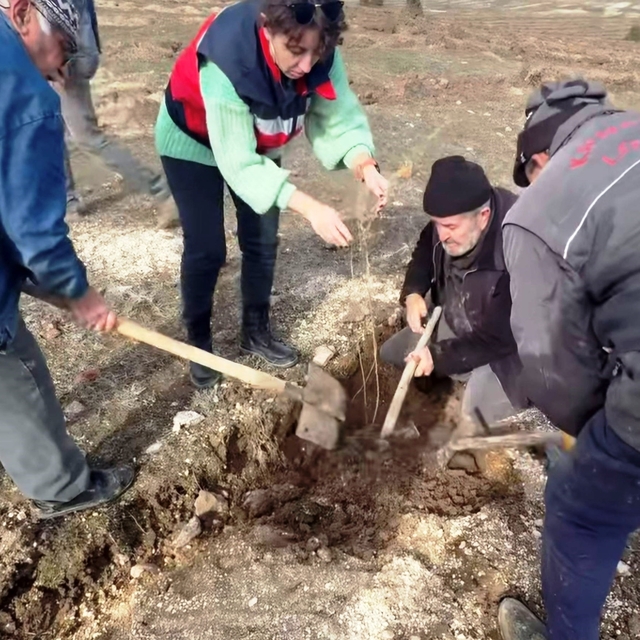 Kütahya'da 'Tuz Çalısı Projesi' hayata geçirildi