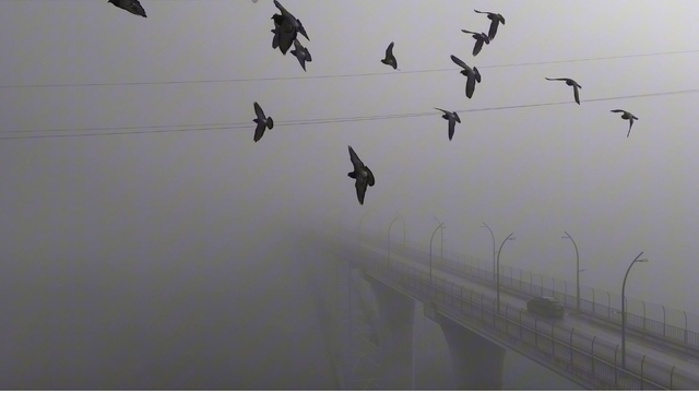 Yoğun sisten kaybolan yapılar dronla görüntülendi