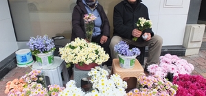 Burhaniye' de çiçekçiler 14 Şubat'ı bekliyor