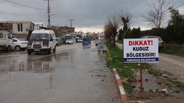 Hatay'da 4 mahalleye kuduz karantinası