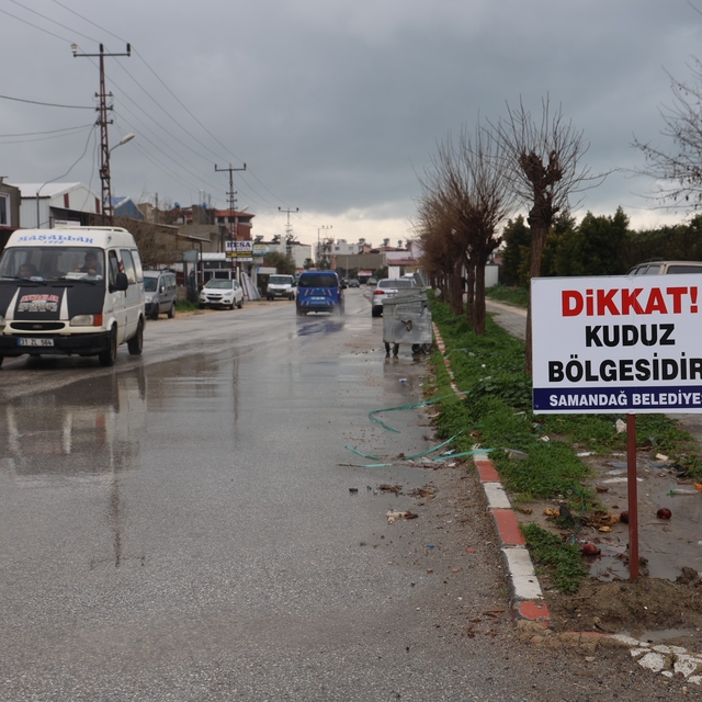 Hatay'da 4 mahalleye kuduz karantinası