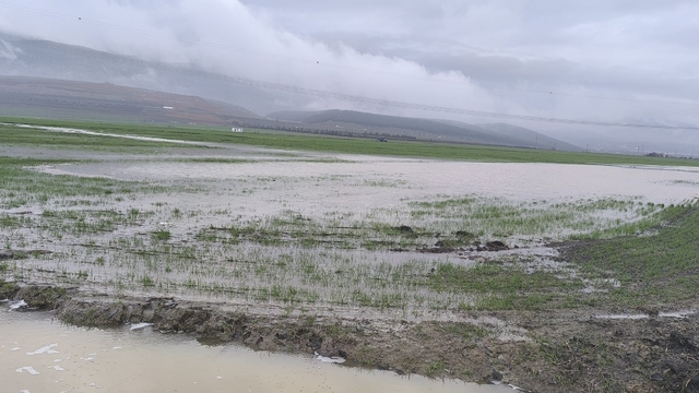 Gaziantep'te tarım arazileri su altında kaldı