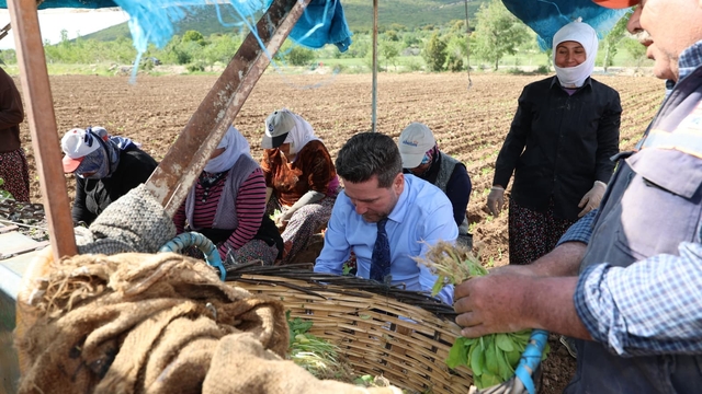 Başkan Tatık'tan tütün firmalarına 'Alım takvimi açıklayın' çağrısı