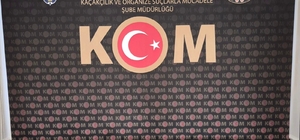 Tefeci operasyonunda 1 kişi tutuklandı