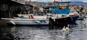 Balık sizden, mazot bizden
Ekmeğini denizden çıkaran balıkçılara Büyükşehir...