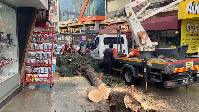 Isparta'da fırtına ağacı kökünden söktü
